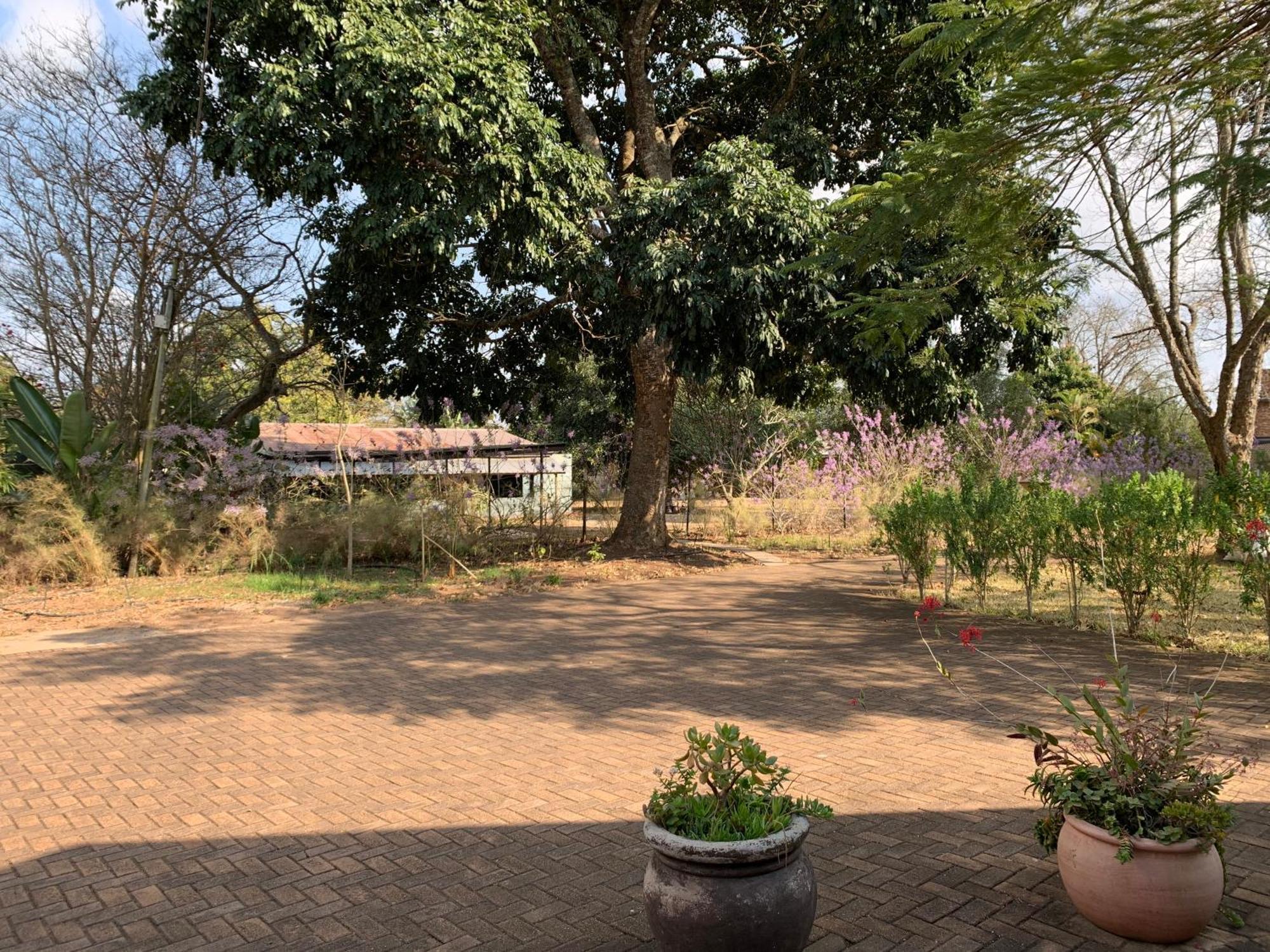 Ilanda Guest House 화이트 리버 외부 사진